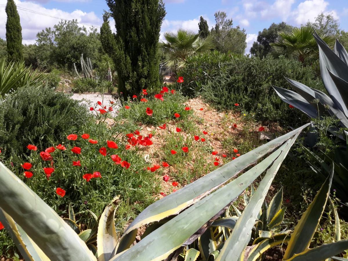 Finca Alqueria Fosca Campos  Exteriör bild