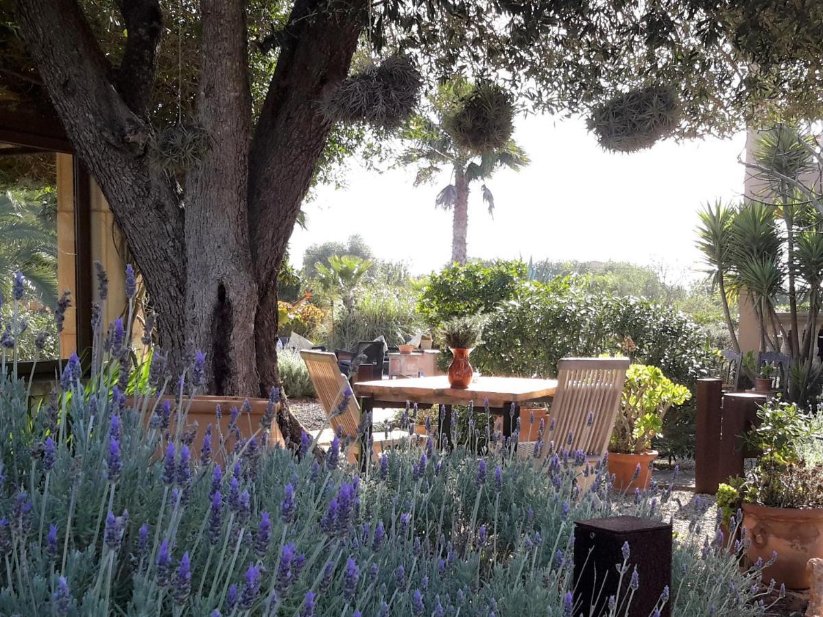 Finca Alqueria Fosca Campos  Exteriör bild