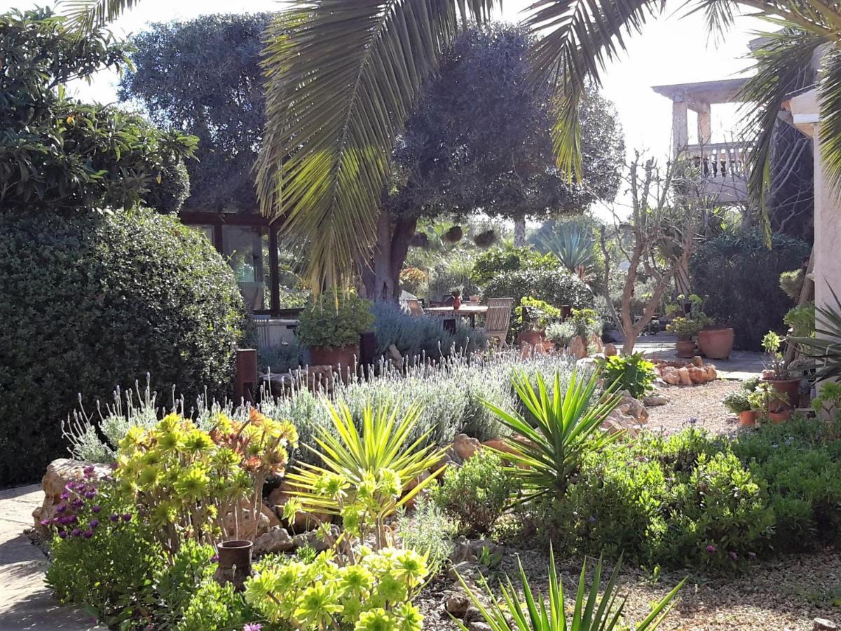 Finca Alqueria Fosca Campos  Exteriör bild