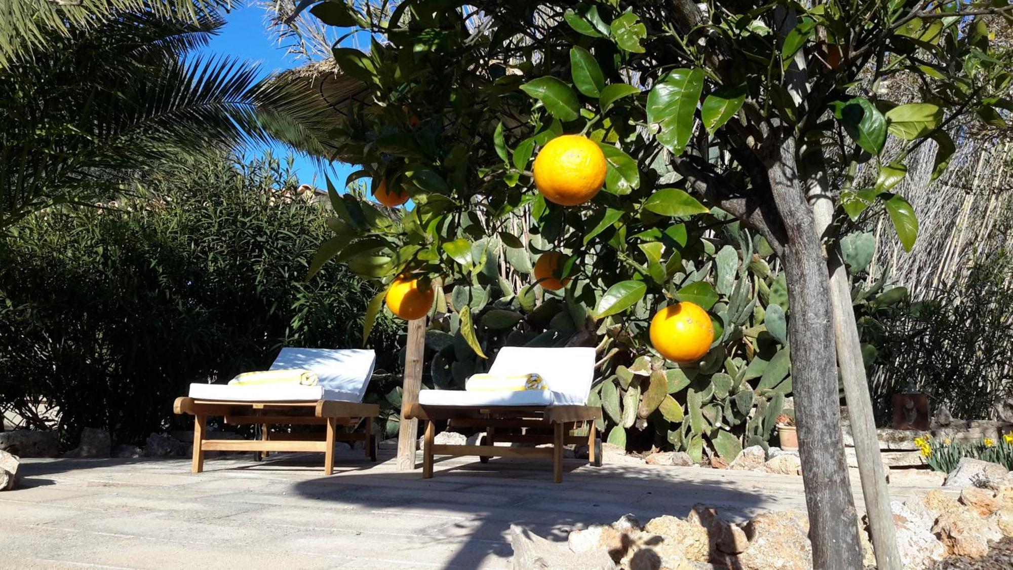 Finca Alqueria Fosca Campos  Exteriör bild