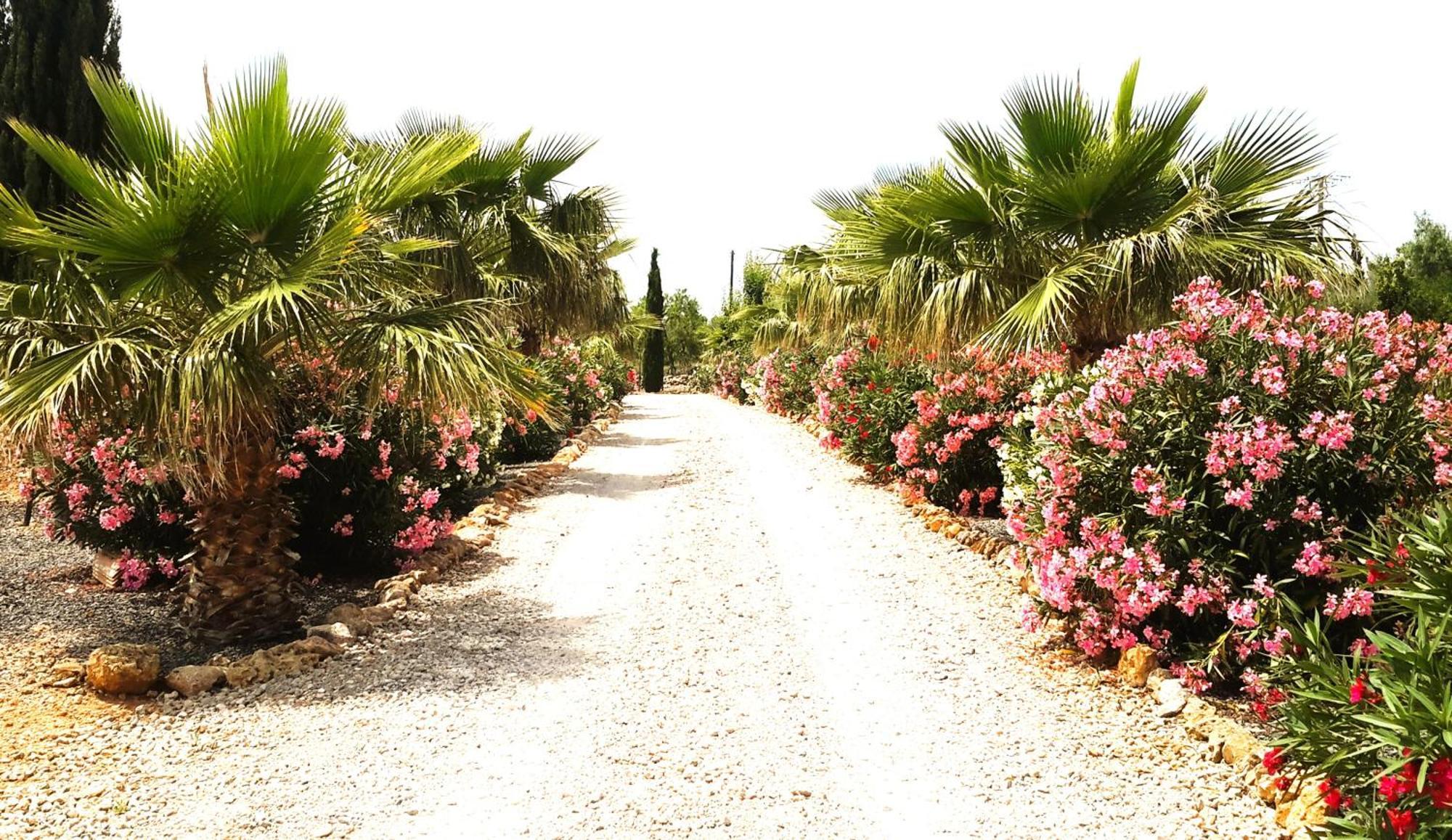 Finca Alqueria Fosca Campos  Exteriör bild